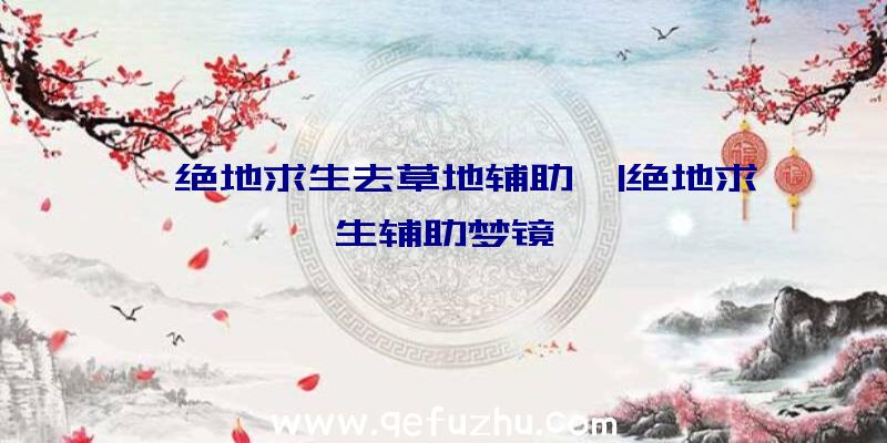 「绝地求生去草地辅助」|绝地求生辅助梦镜